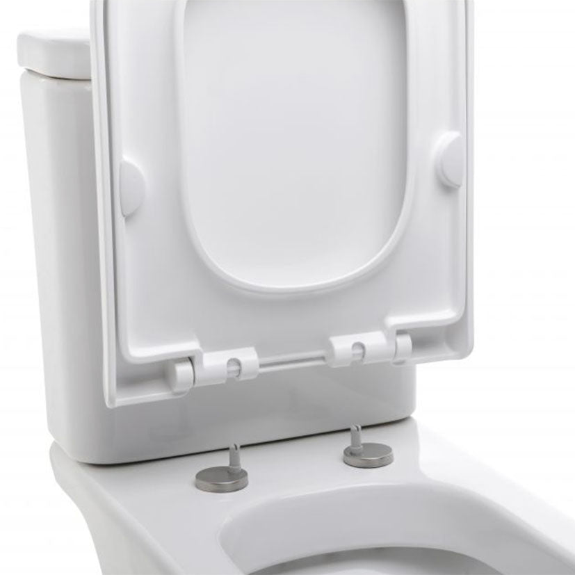 Toilet lid