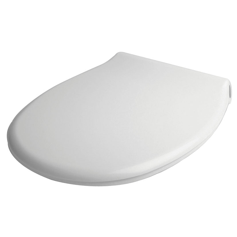 Toilet lid