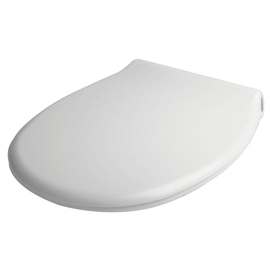 Toilet lid