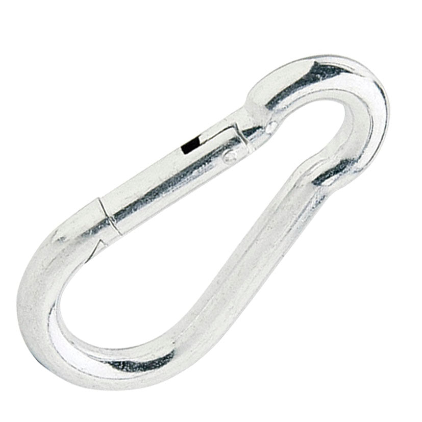Carabiner 6