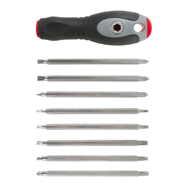 Screwdriver with interchangeable bits