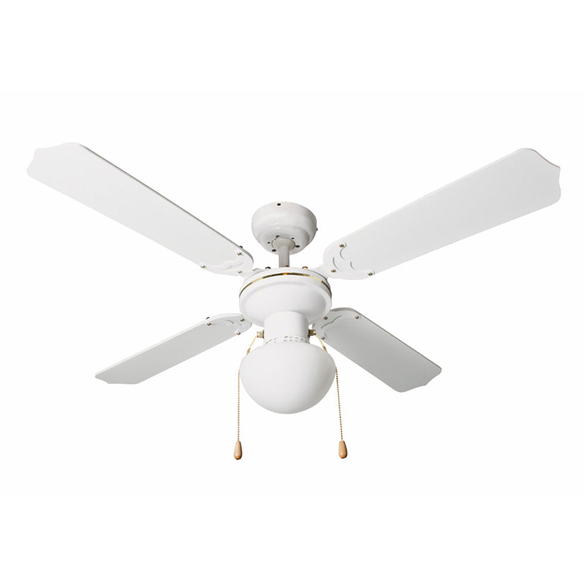 Fan of