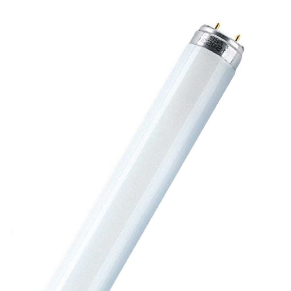 Fluorescent tube
