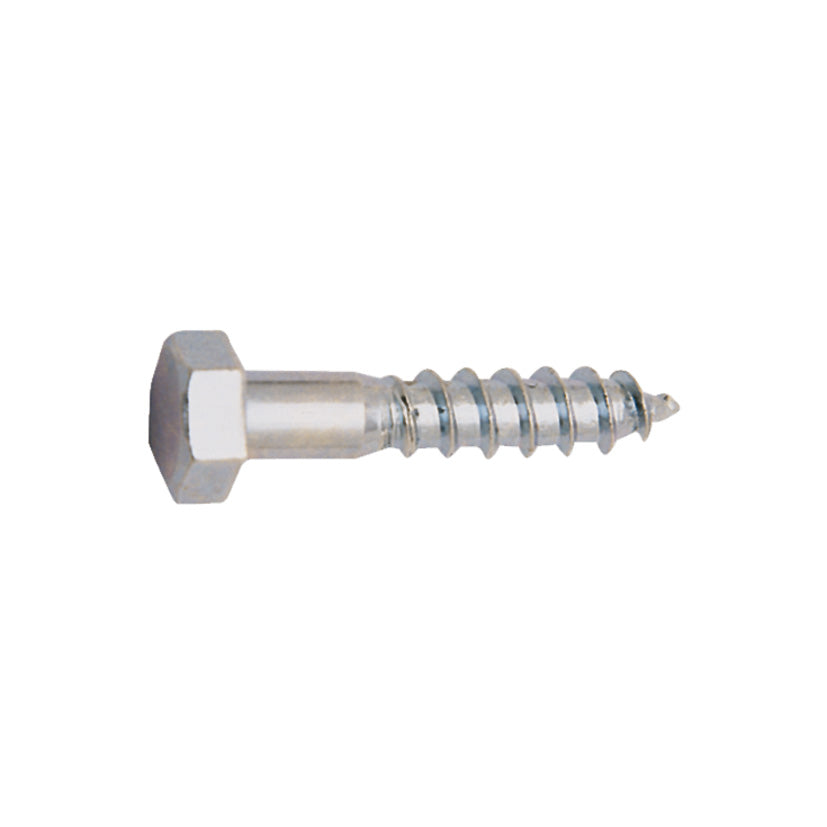 Screw hook zn
