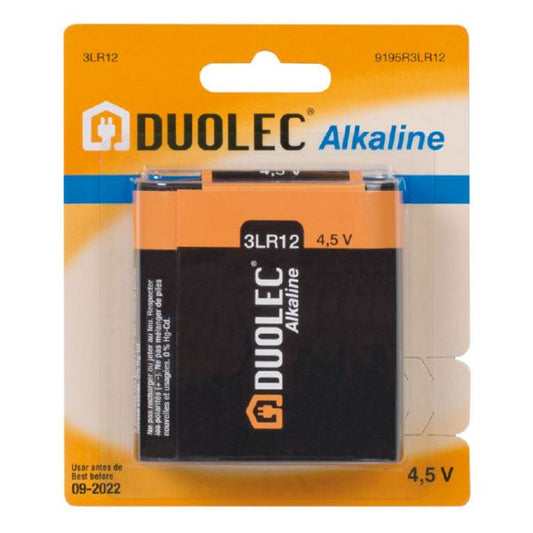 Alkaline battery