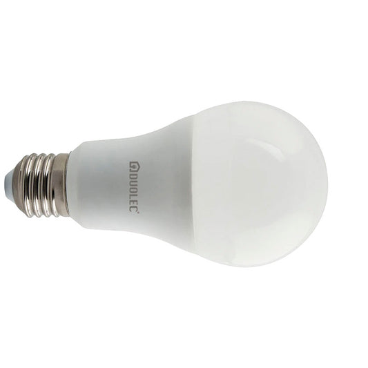 LED bulb
