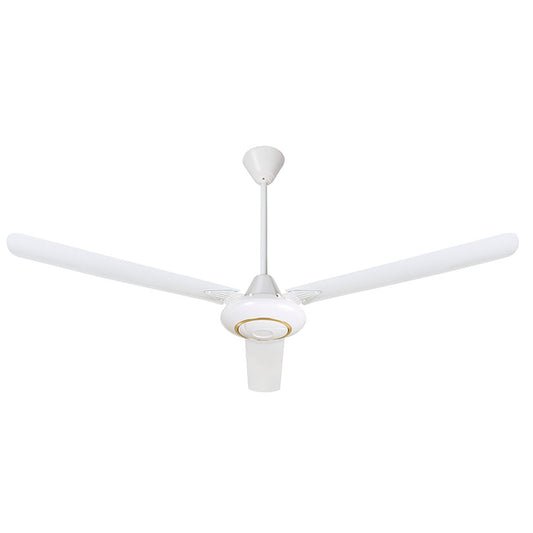 Ceiling fan.