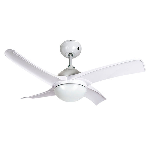 Ceiling fan.