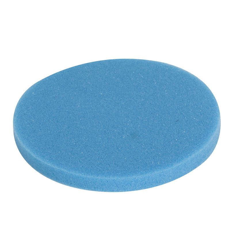 Sponge filter