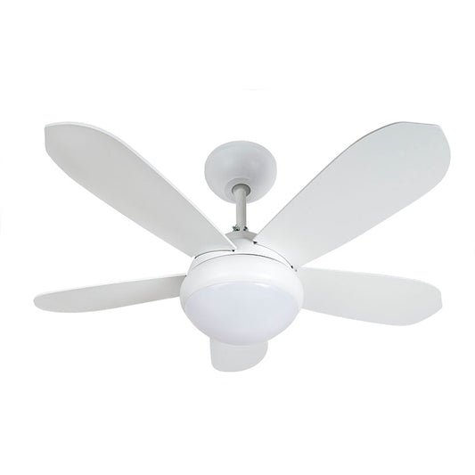 Ceiling fan