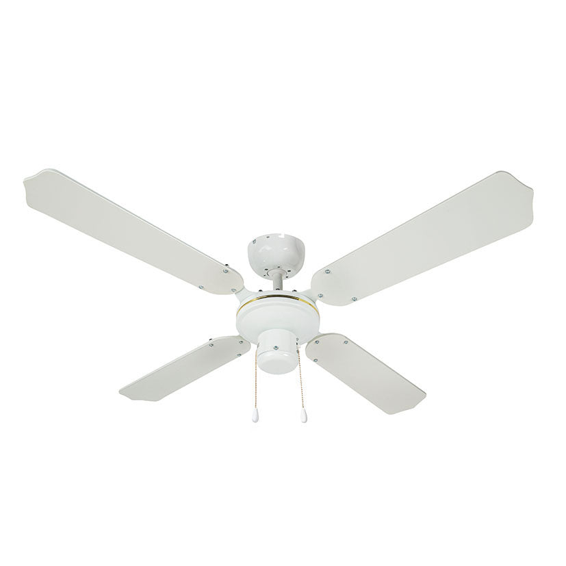 Ceiling fan.