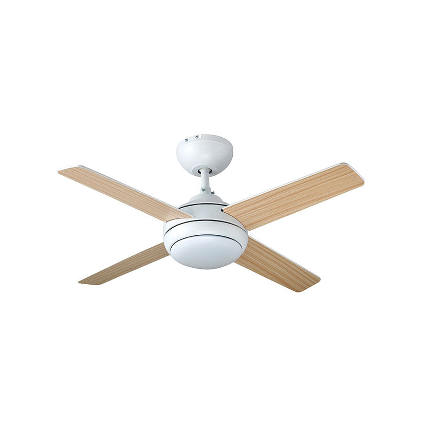 Fan of