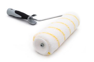 Paint roller