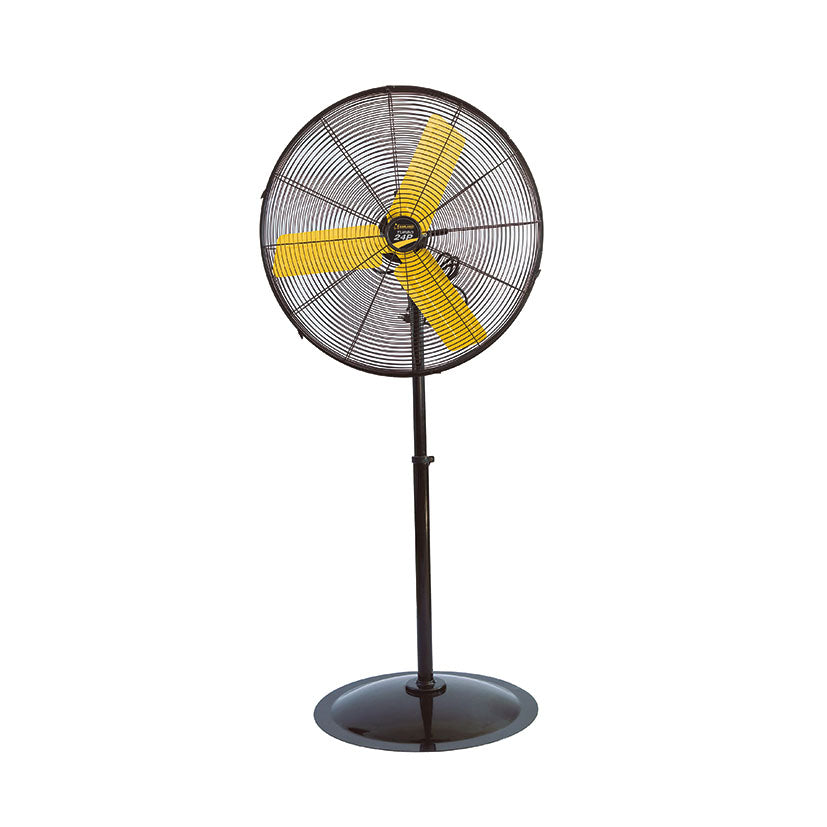 Electric fan