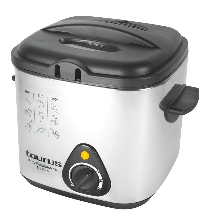 Professional fryer