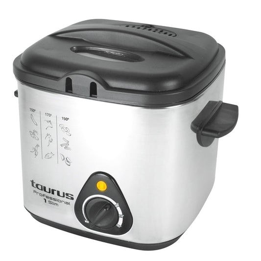 Professional fryer