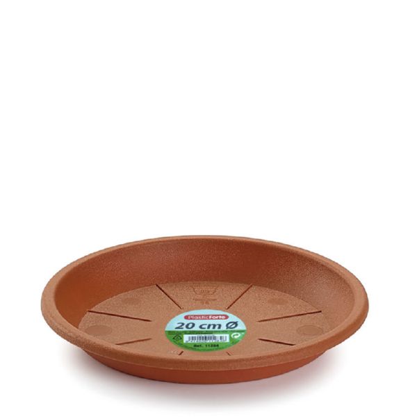 Plastic dish