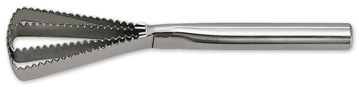 Fish scaler