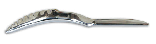 Fish scaler