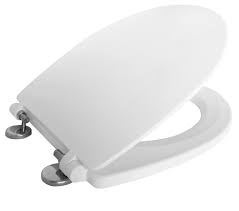 Toilet lid