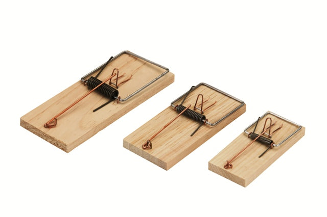 Glue trap