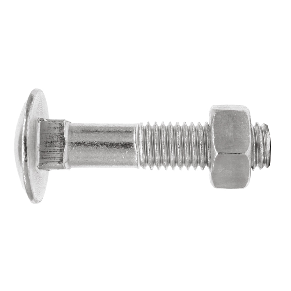 Carriage Bolt