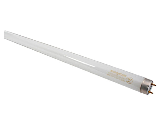 Fluorescent Tube