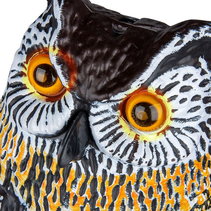 Scare owl