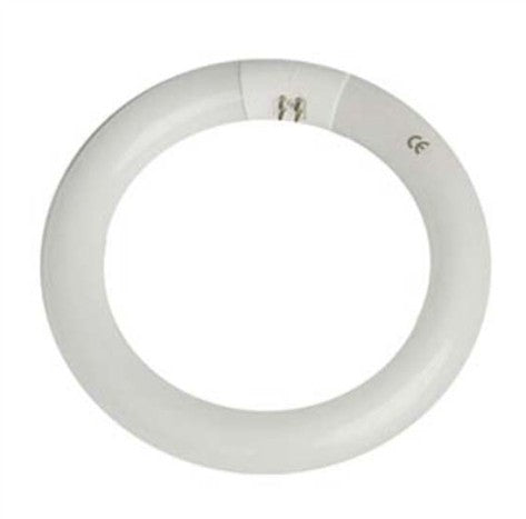 Circular tube