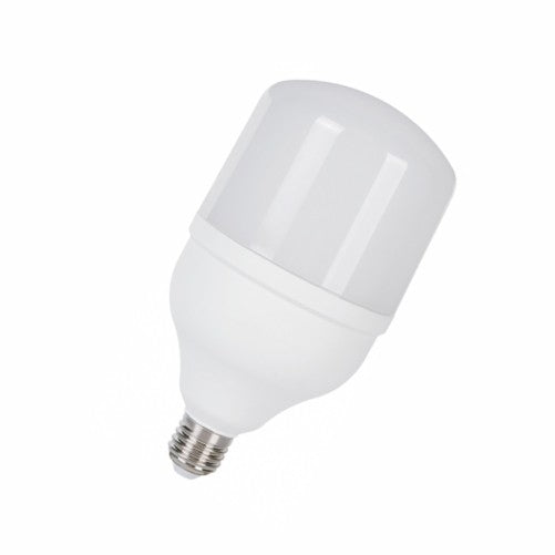 Globe bulb