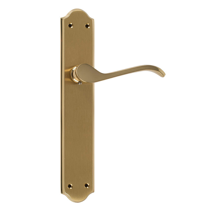 Biometric handle