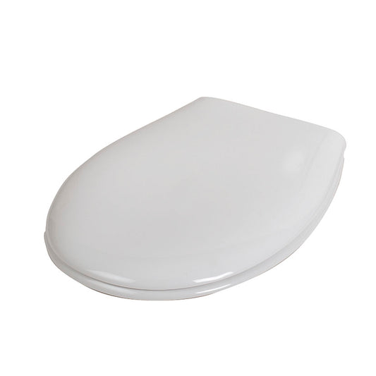 Toilet lid