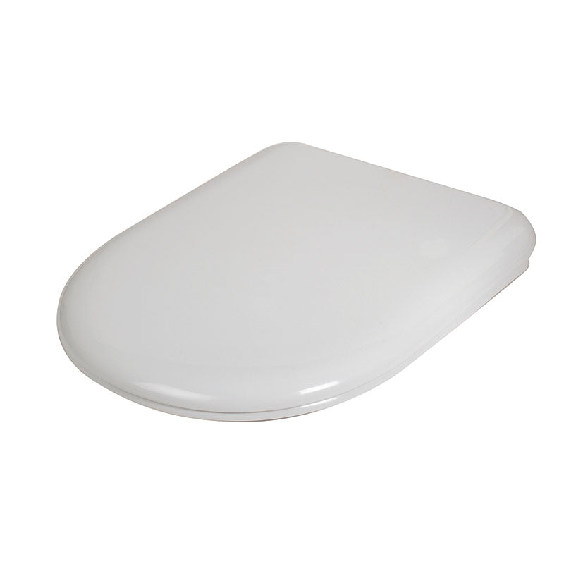 Toilet lid