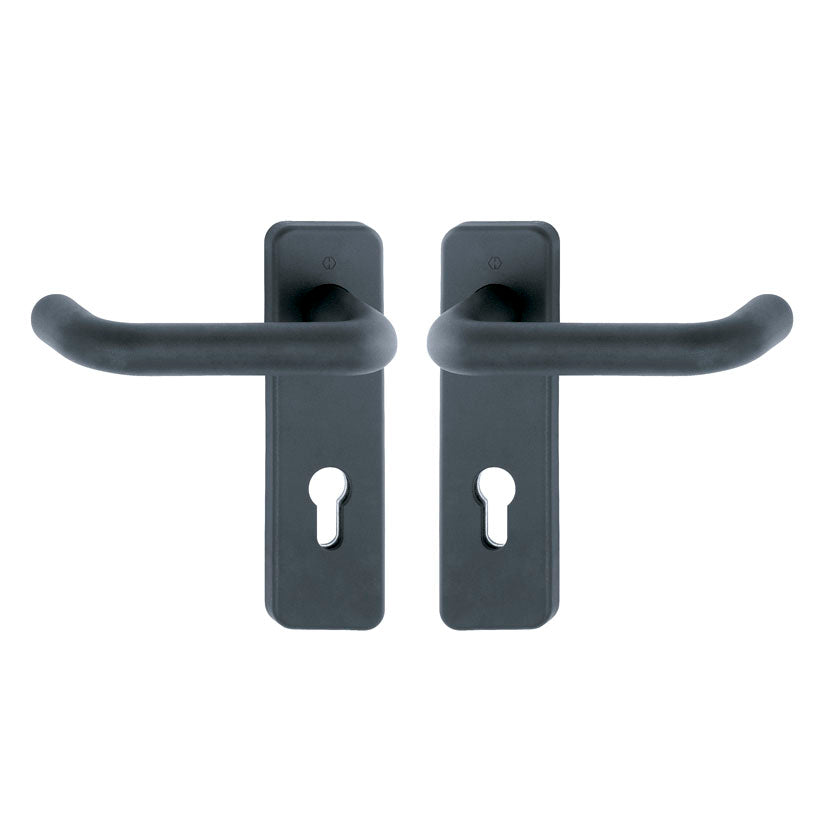 Handle with backplate