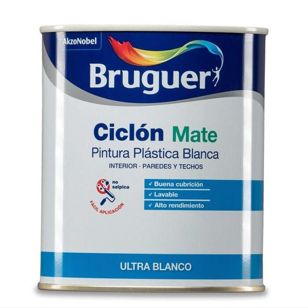 Pintura plastica