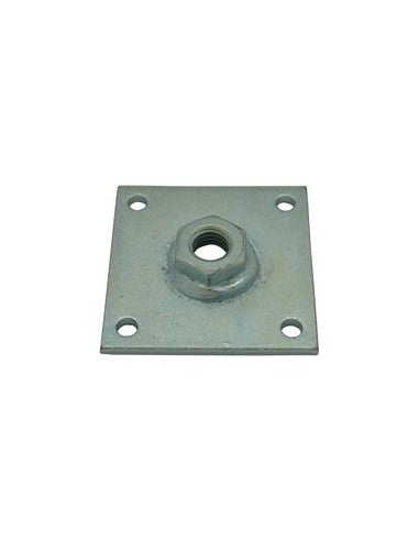 Plate w/nut
