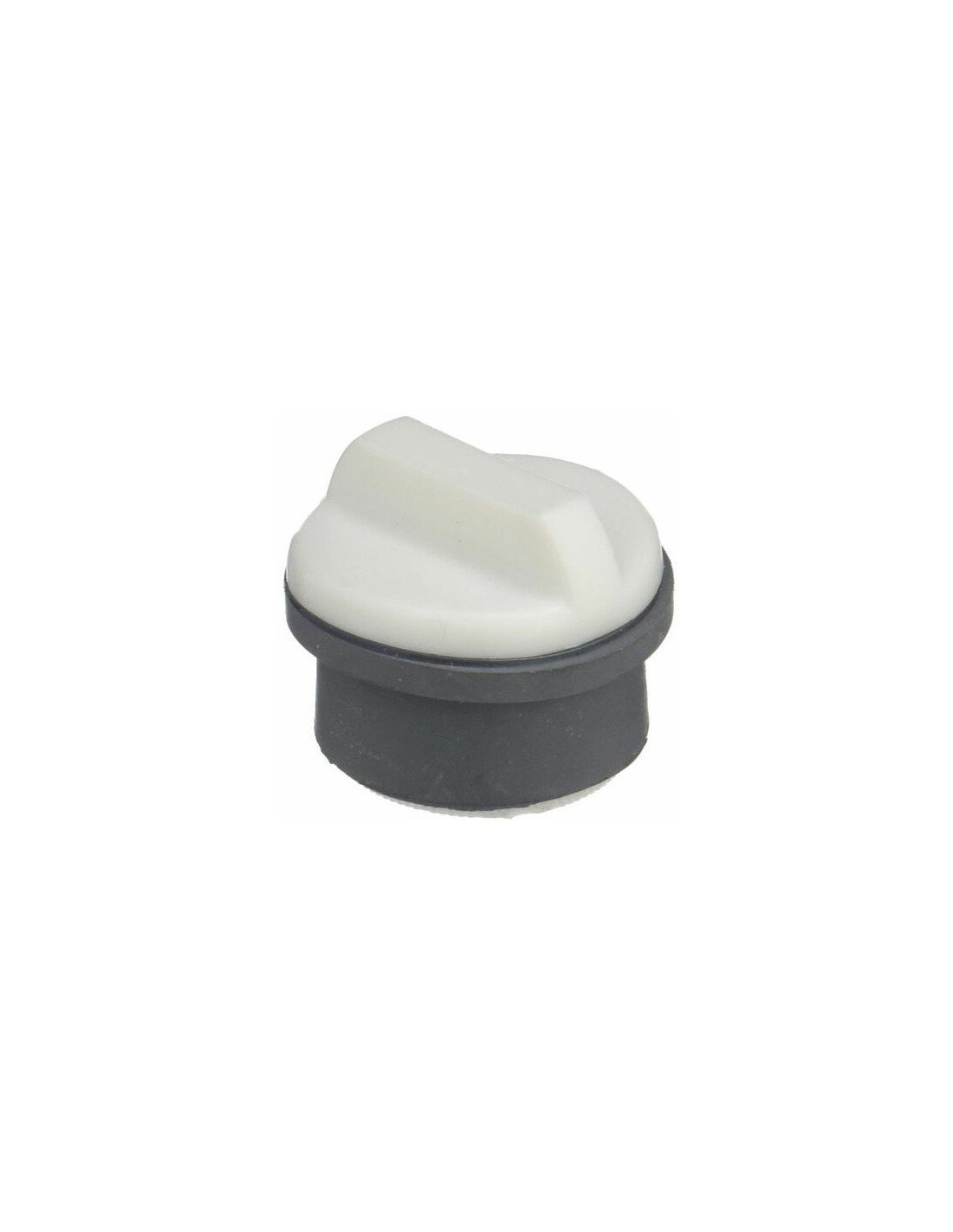 Cleaning plug