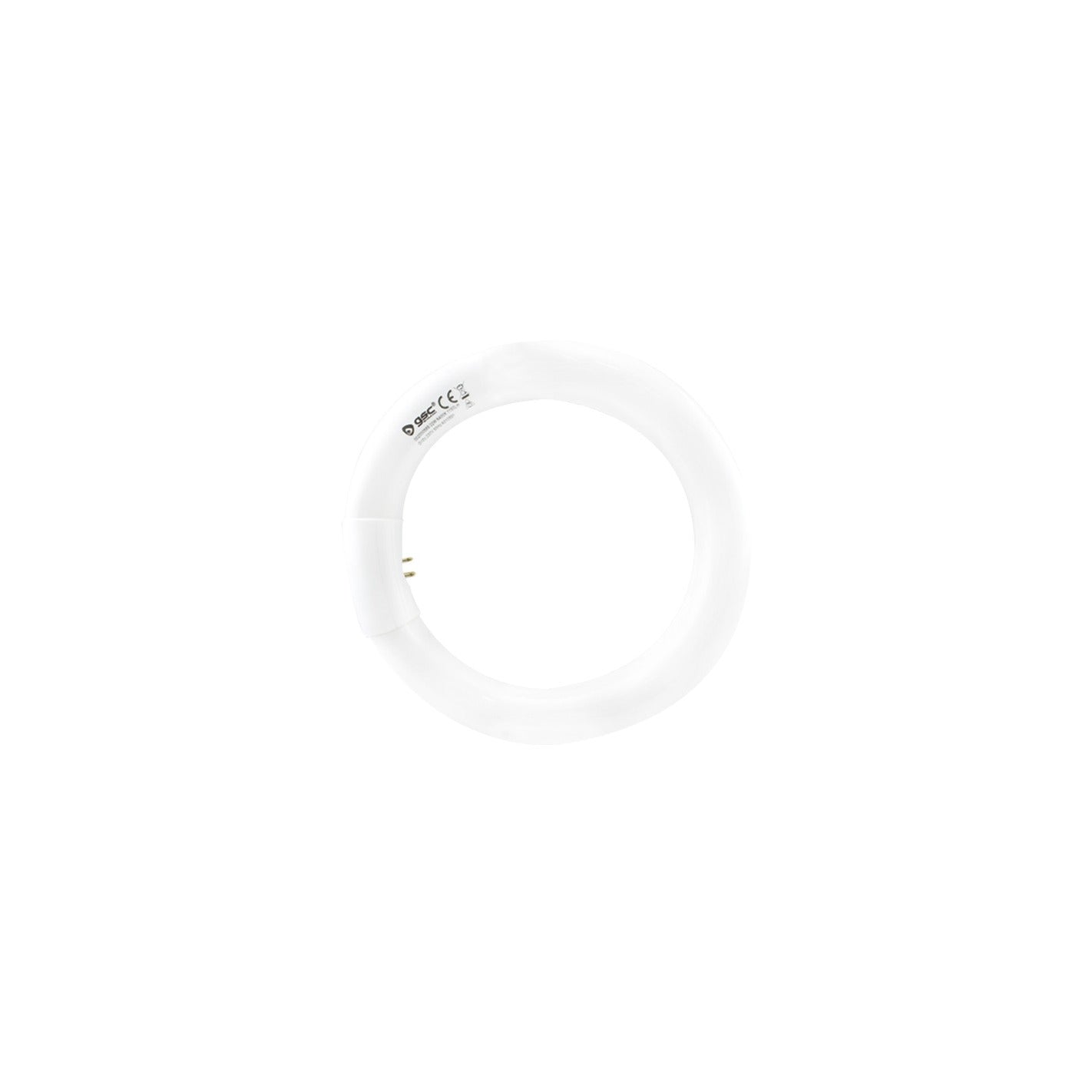 Fluorescent 22W