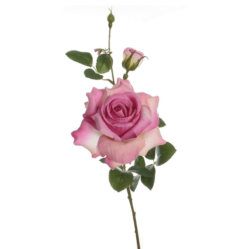 Vara rosa
