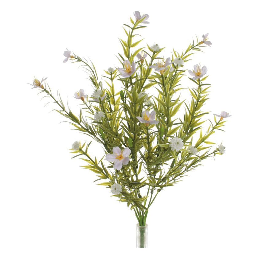 Gypsum branch