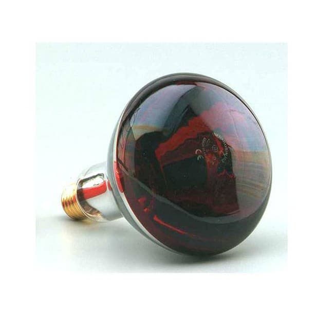 Infrared lamp