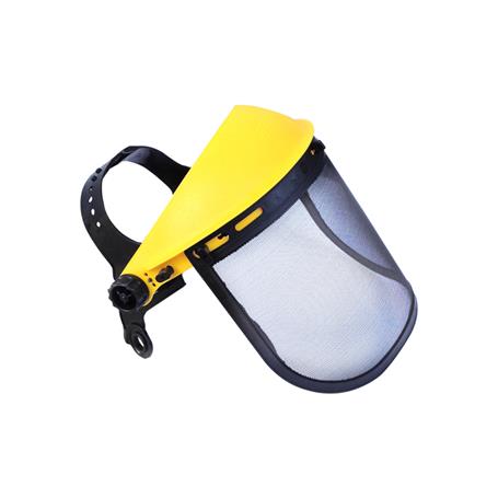 Visor with