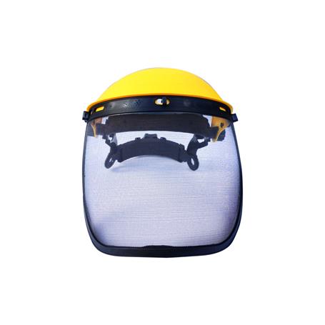 Visor with