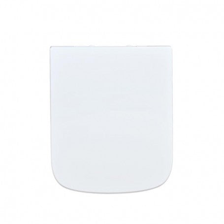 Toilet Lid