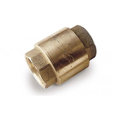 Check valve