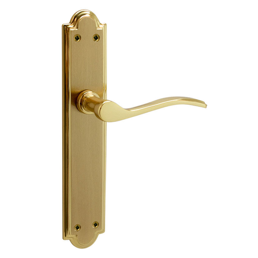 Backplate handle.