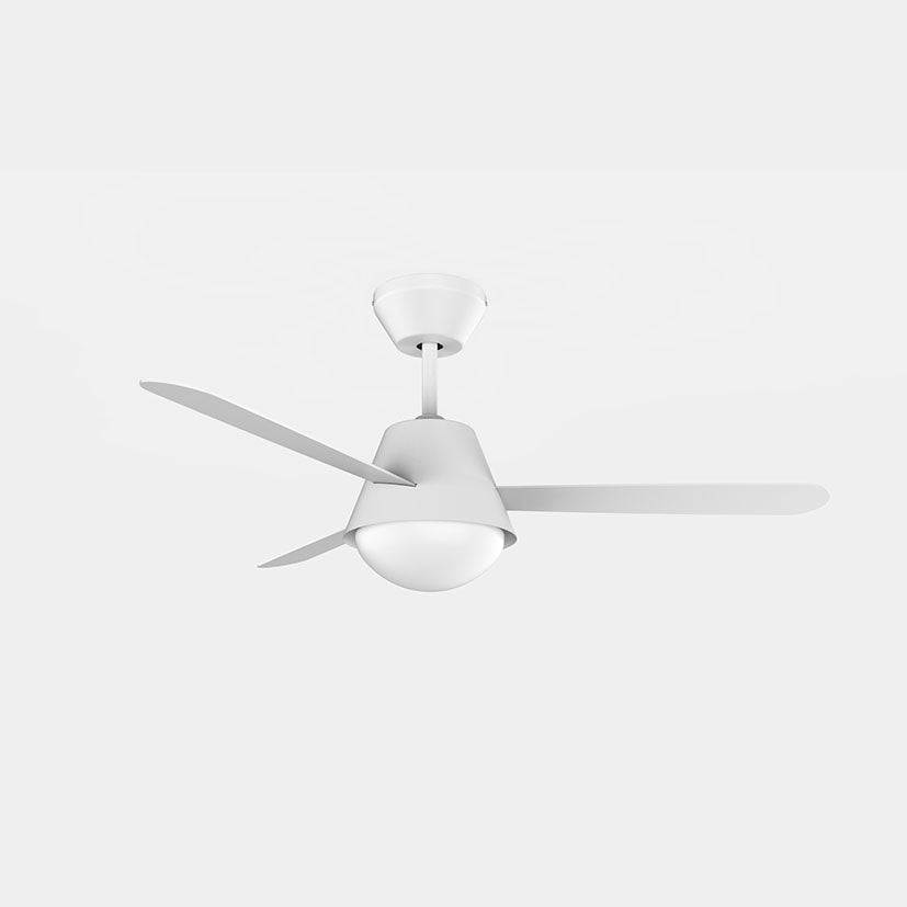 Ceiling fan