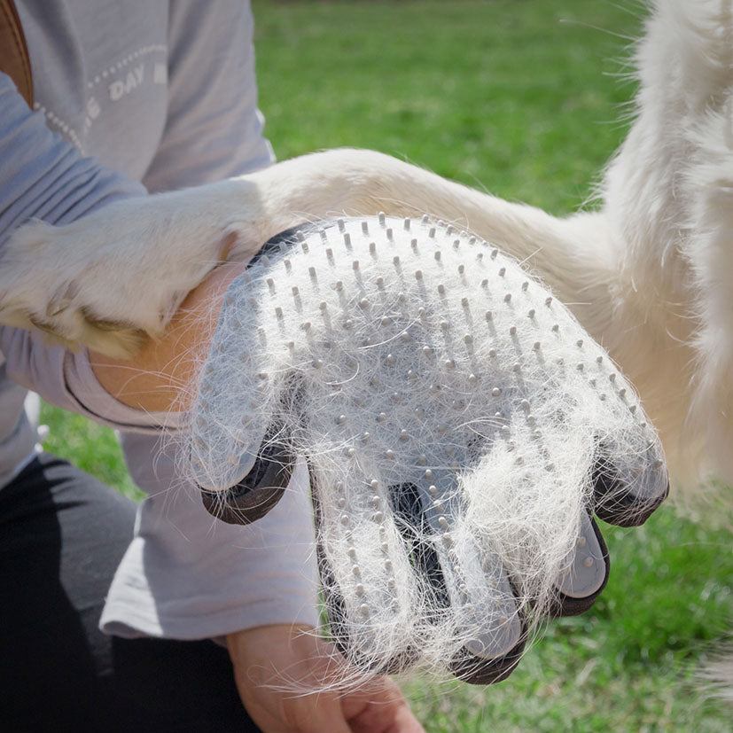 Grooming glove