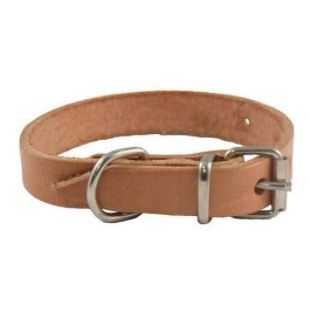 Collar perro