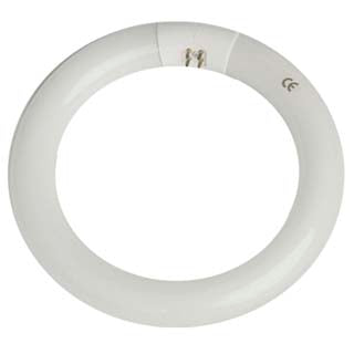 Fluorescente 22W